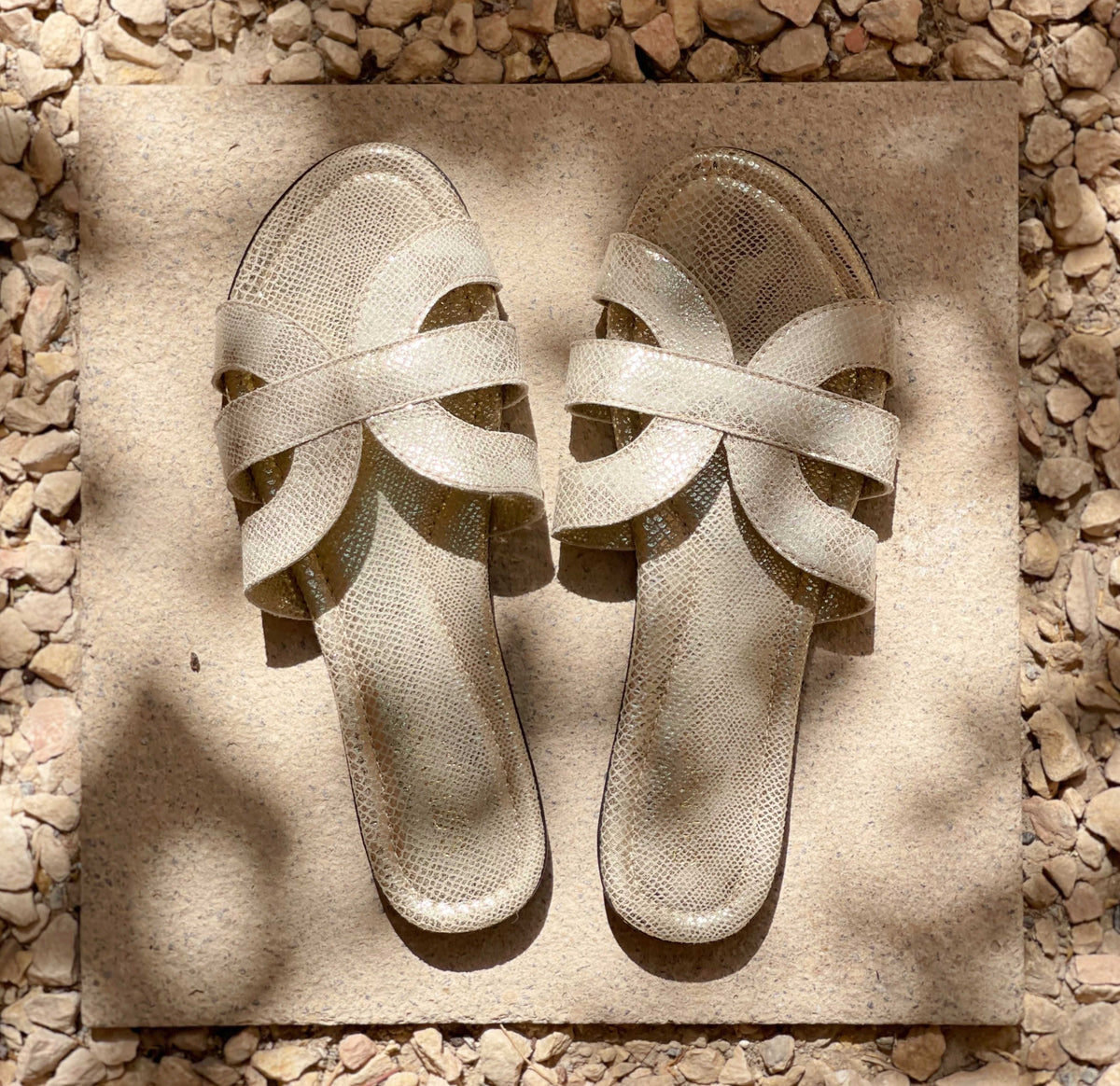 Bella Vita Lizard Gold - mules